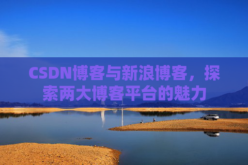 CSDN博客与新浪博客，探索两大博客平台的魅力